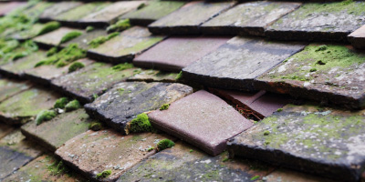 Horsleys Green roof repair costs